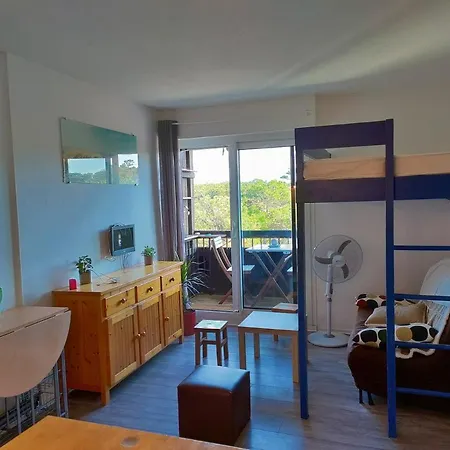 Apartment A L'ocean Au Dessus Des Pins