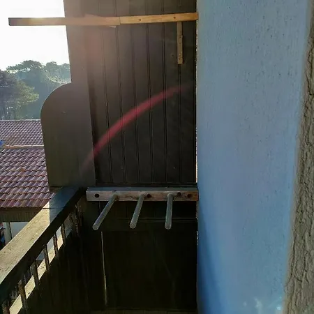 A L'ocean Au Dessus Des Pins *