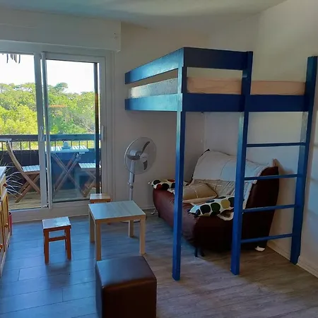 A L'ocean Au Dessus Des Pins * Seignosse