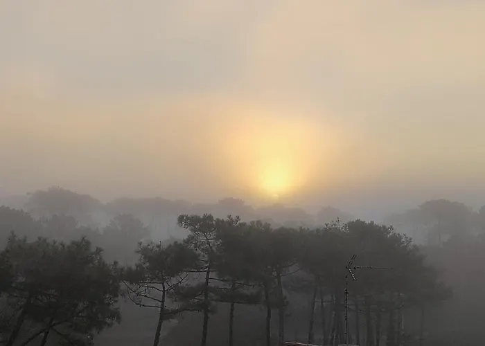 A L'ocean Au Dessus Des Pins * Seignosse