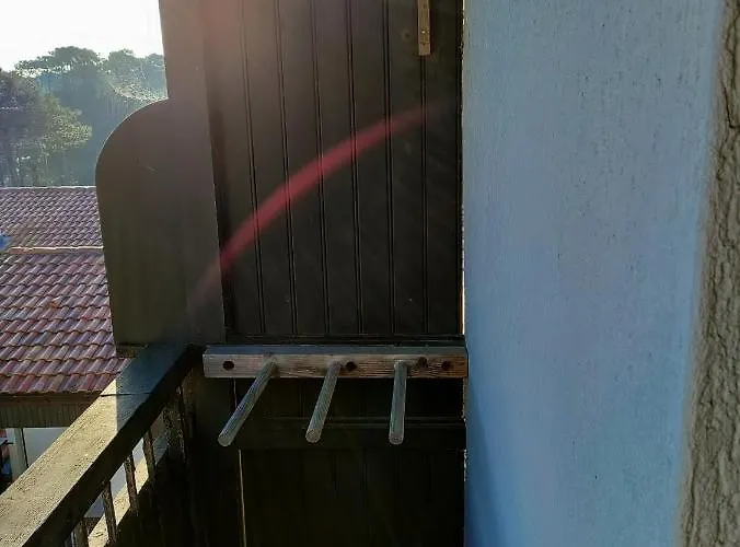 A L'ocean Au Dessus Des Pins *