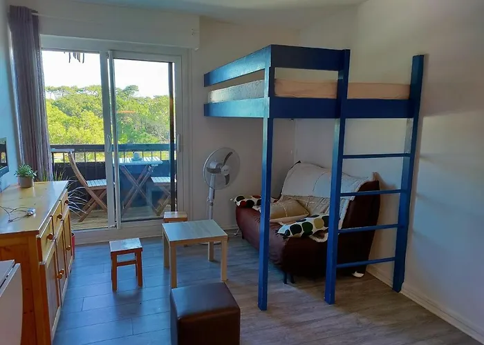 A L'ocean Au Dessus Des Pins * Seignosse